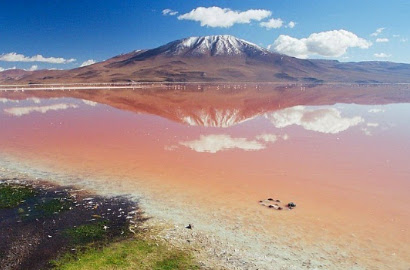 Laguna Colorada, Danau Unik Warna Merah Putih