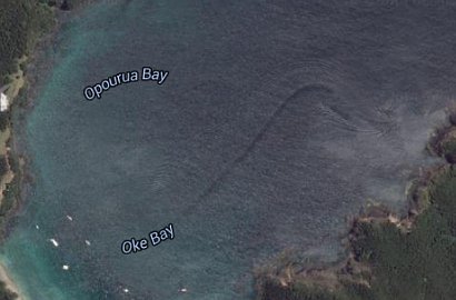 Monster Laut di Selandia Baru Terlihat di Aplikasi Google Earth