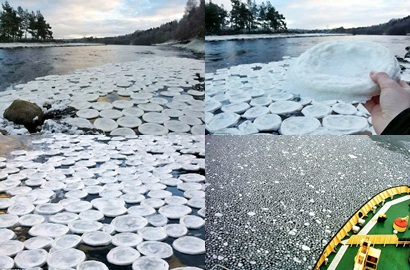 Wah, Pancake Es Misterius Muncul di Sungai Skotlandia
