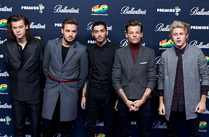 Directioners Kecam Kembaran One Direction