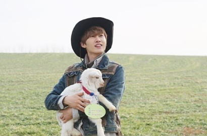 Eunhyuk SuJu Perhatian ke Anak Domba di 'Animals'