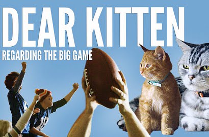 Demam Super Bowl, Iklan 'Dear Kitten: Friskies' Curi Hati Publik