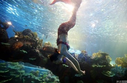Intip Kehidupan 'Putri Duyung' di Marine Park Tiongkok