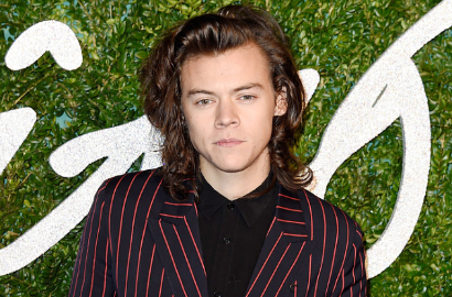Usai Zayn Malik, Kini Ada Cowok Mirip Harry Styles One Direction