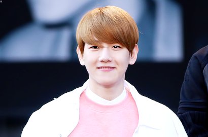 Daebak, Baekhyun Akan Perankan Pemuda Jago Bela Diri di 'Dokgo'