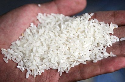 Beras Sintesis Bekasi Positif Mengandung Bahan Seperti Pipa Plastik