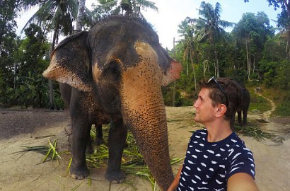 Curi GoPro Pengunjung, Gajah Thailand Ambil Foto Selfie Sendiri