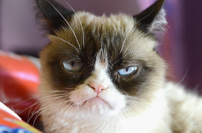 YouTube Rayakan Ulang Tahun Ke-10 Bersama Grumpy Cat