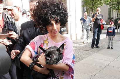 Lady GaGa Siap Luncurkan Toko Fashion Khusus Hewan Peliharaan