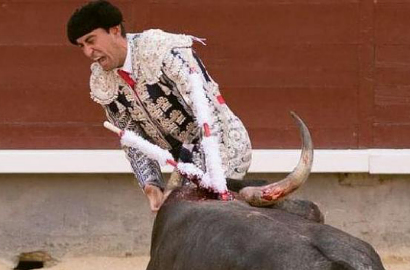 Nahas, Testikel Matador di Madrid Ditanduk Banteng Hingga Robek