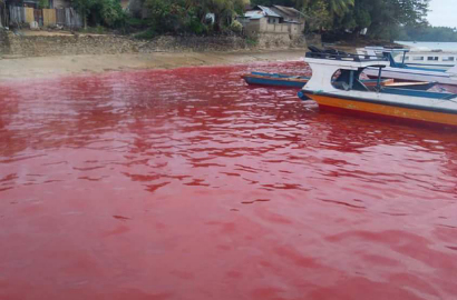 Sempat Heboh Airnya Merah, Warga Maluku Ucap Takbir Laut Kembali Biru