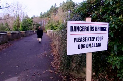 Misterius, 600 Anjing Mencoba Bunuh Diri di 'Jembatan Berhantu'