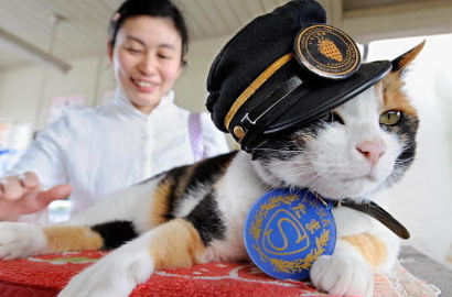 Jepang Dirundung Duka Atas Matinya Tama si Kucing Kepala Stasiun