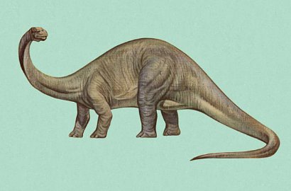 Ada 'Dinosaurus' yang Muncul di Hasil USG Wanita Hamil, Kok Bisa?