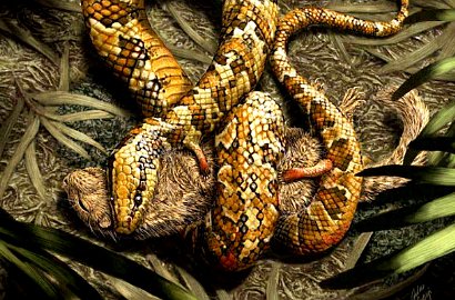 Astaga, Ular Ternyata Dulunya Berkaki Empat
