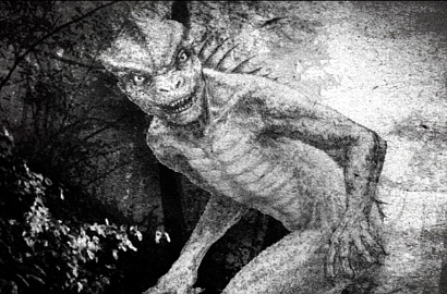 Astaga, Manusia Cicak Tertangkap Kamera di Amerika Serikat
