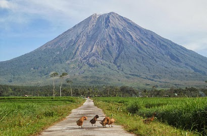 Hilang 3 Hari di Semeru, Pendaki Asal Bogor Akhirnya Ditemukan