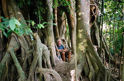 60 Tahun Tinggal di Hutan, Inilah Kisah Tarzan dari Australia yang Sesungguhnya