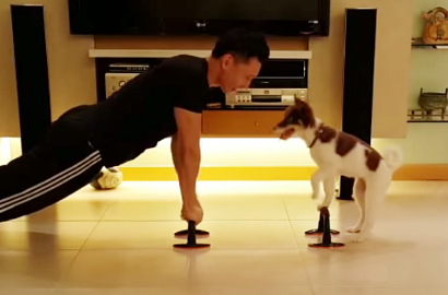 Lucunya Anjing Ini Push Up Bareng Pemiliknya