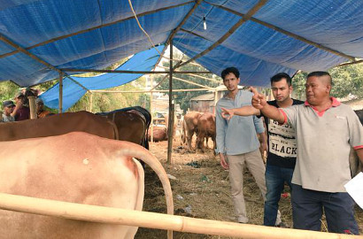 Raffi Ahmad dan Dimas Beck Syuting 'BBB Story' di Kandang Sapi, Ngapain?