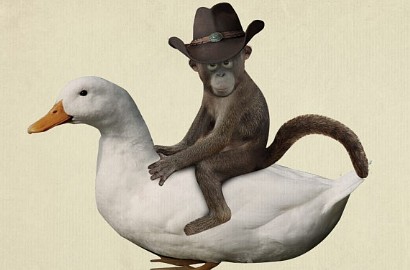 Mengharukan, Monyet dan Bebek Ini Bersahabat Hingga Mati