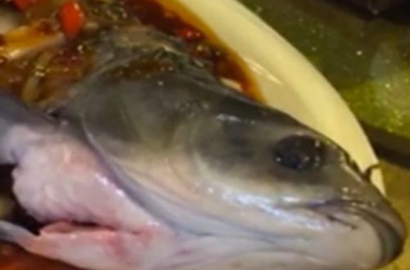 Hiiii, Ikan 'Zombie' Masih Bergerak dan Hidup Meski Sudah Dimasak