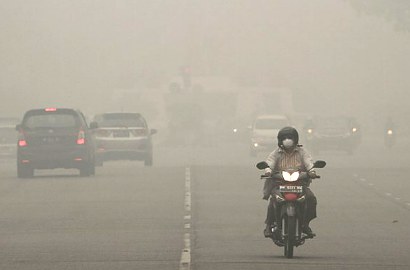 Semakin Parah, Kabut Asap Sudah Menelan 8 Korban Jiwa