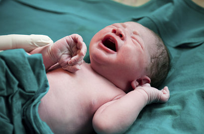 3 Bayi Tewas Dalam Sepekan, Netter Desak Pemerintah Hukum Berat Pembakar Hutan