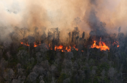 Tak Kunjung Usai, Kabut Asap Riau Perparah Pemanasan Global?