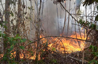 Kebakaran di Gunung Lawu, 6 Orang Pendaki Tewas Terjebak Api