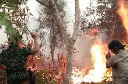 Belum Usai Kebakaran Hutan di Sumatera, Muncul Titik Panas di Sulawesi