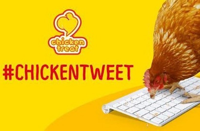 Betty, Ayam Pertama Sejagad yang Jadi Admin Twitter Restoran Australia