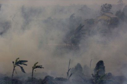 Kabut Asap di Indonesia Ternyata Lebih Bahaya dari Polusi Jerman Selama Setahun