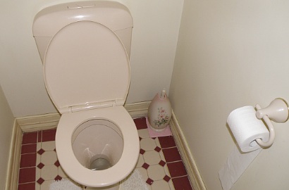 Ambil Ponsel yang Jatuh ke dalam WC, Tangan Pria Ini Malah Terjepit