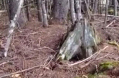 Ajaib, Video Ini Rekam Fenomena Saat Bumi 'Bernafas'