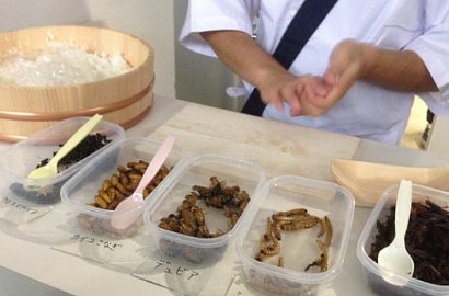 Sushi Ini Terbuat dari Serangga dan Cacing, Berani Coba?