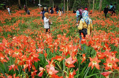 Taman Bunga di Gunung Kidul Rusak, Netter Salahkan Acara 'My Trip My Adventure'