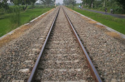Wah, Jalur Kereta Api di Jepang Punya Jalur Khusus Kura-Kura