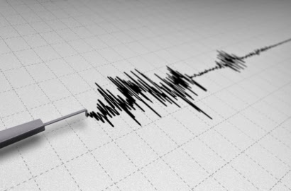 Diguncang Gempa 4,8 SR, Warga Halmahera Barat Berhamburan