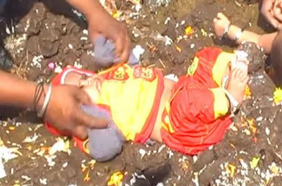 Unik, Bocah di India Dilempar ke Kotoran Sapi Agar Beruntung