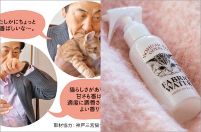 Perusahaan Jepang Buat Pengharum Aroma Dahi Kucing, Seperti Apa ?