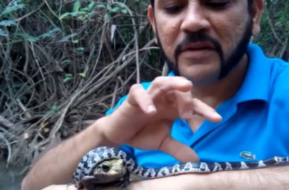 Astaga, Pria Ini Masukkan Ular Berbisa dan Katak Beracun Kedalam Mulut