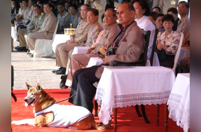 Hina Anjing Raja Via Facebook, Pria Thailand Ini Terancam 37 Tahun Penjara