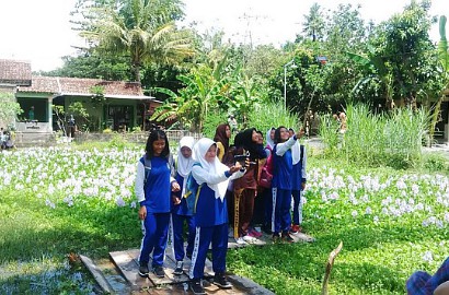 Dikunjungi Ratusan Orang, Taman Eceng Gondok Buat Tempat Khusus Selfie