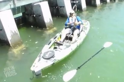 Pria di Video Ini Berhasil Memancing Ikan Raksasa, Sebesar Apa?