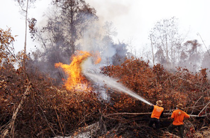 Negara Alami Kerugian Hingga Rp 240 Triliun Akibat Kebakaran Hutan