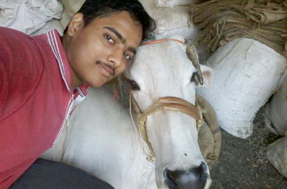 Selfie Bareng Sapi untuk Diunggah di Medsos Kini Jadi Tren Baru di India