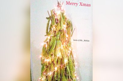 Tak Kalah Kreatif, Pohon Natal di Indonesia Ini Dibuat dari Petai