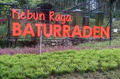 Senasib Dengan Amarylis, Taman Bunga Baturraden Rusak Gara-Gara Selfie