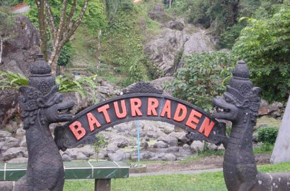 Usai Dirusak Penggila Selfie, Petugas Kebun Raya Baturraden Kerja Keras